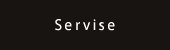 Service
